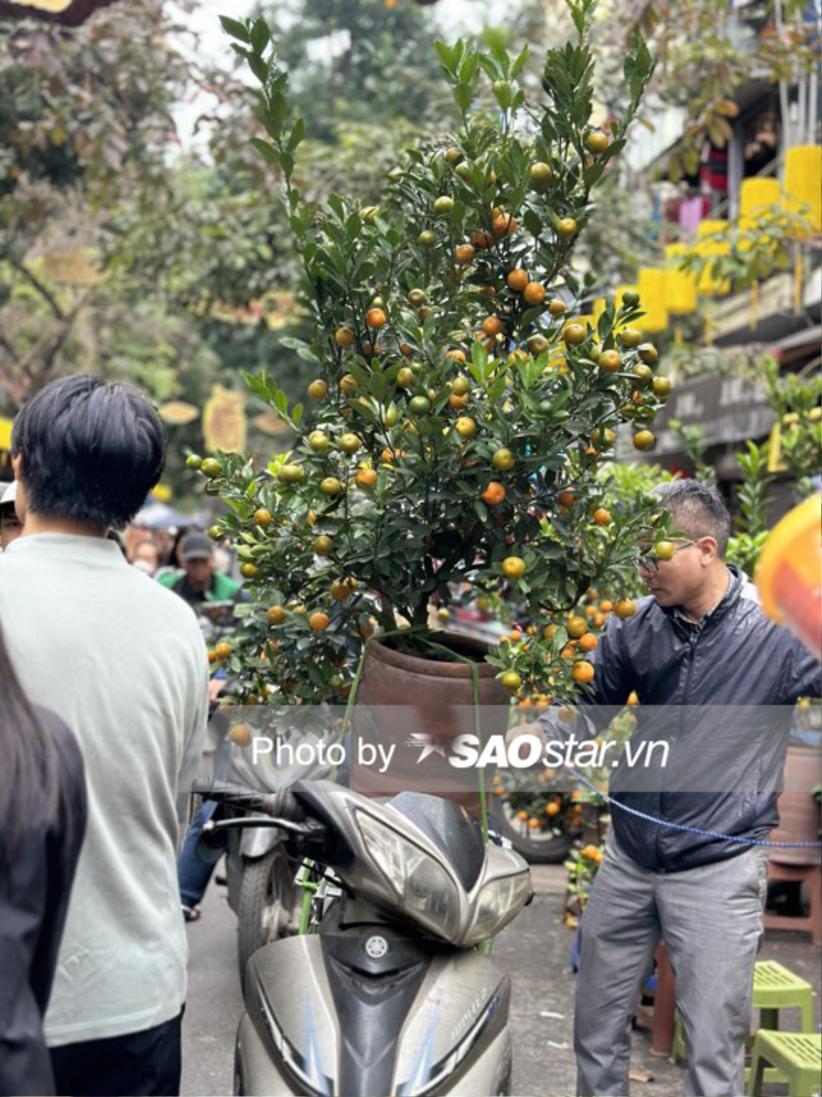 Chủ Nhật cuối cùng của năm 2023: Người Hà Nội rộn ràng xuống phố, chở Tết về nhà Ảnh 2