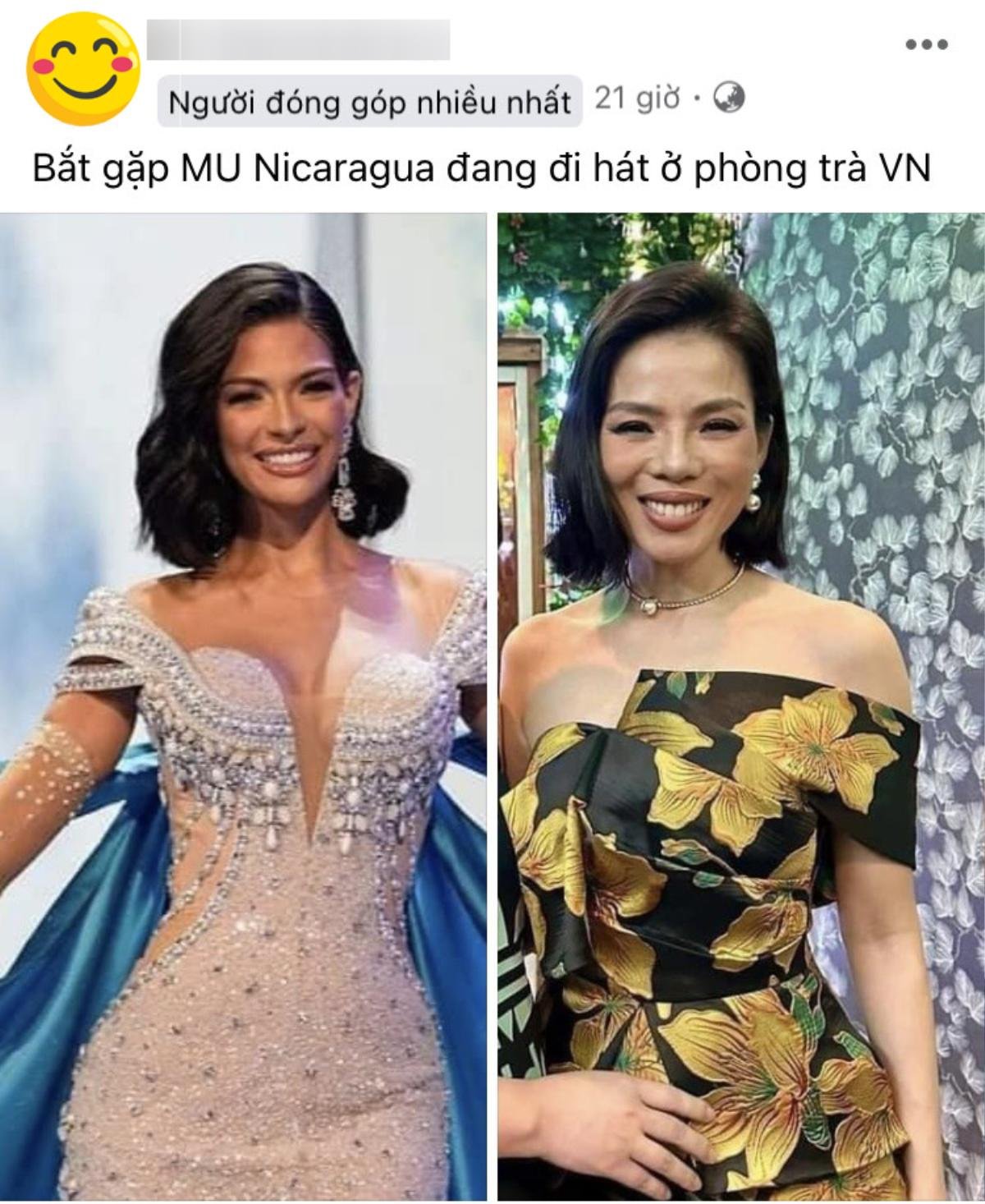 Lệ Quyên được nhận xét giống đương kim Miss Universe Ảnh 1