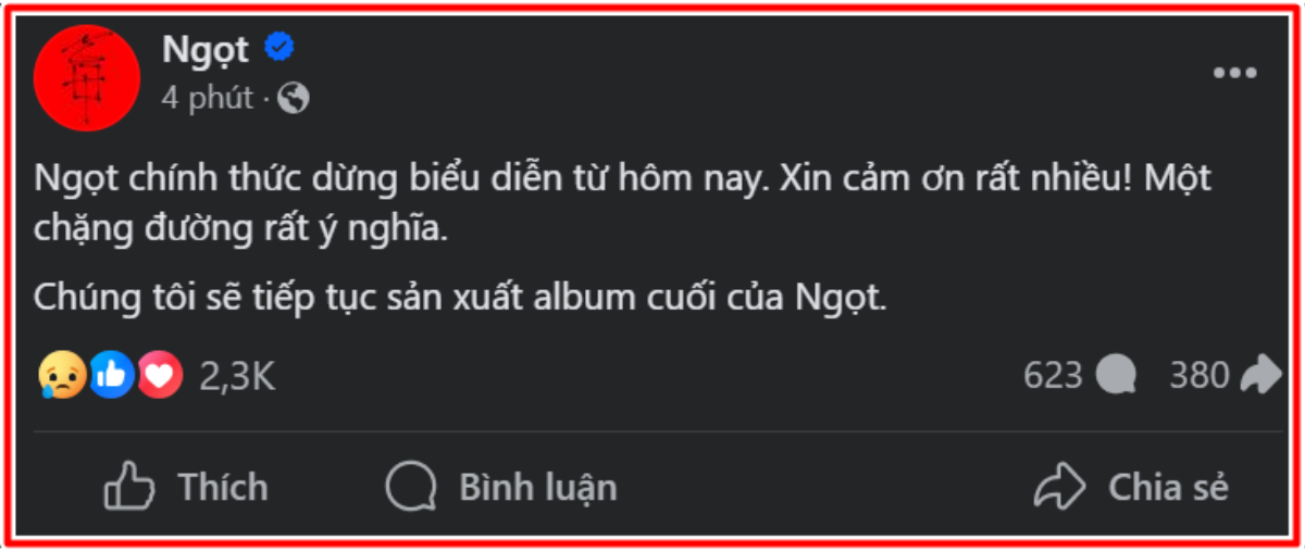 Nhóm nhạc Vpop từng được đề cử GRAMMY thông báo ngừng biểu diễn Ảnh 2