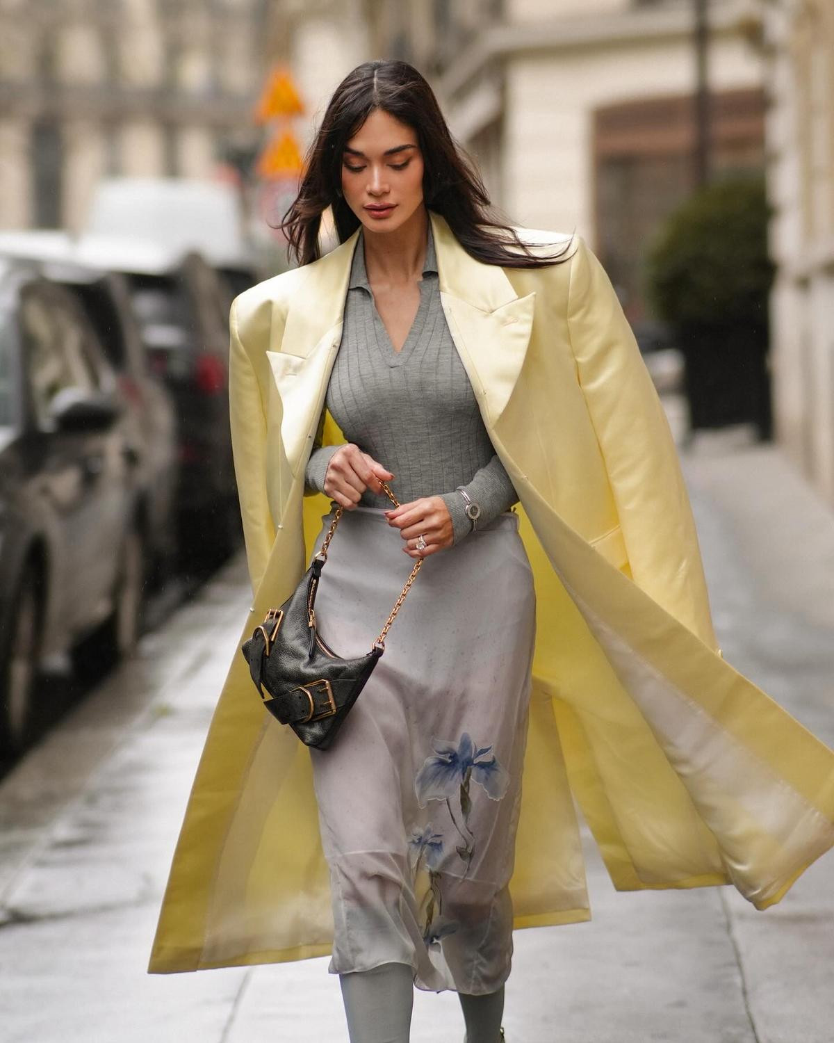 Hoa hậu Hoàn vũ nổi nhất thế giới đỉnh cỡ nào ở Paris Fashion Week? Ảnh 4