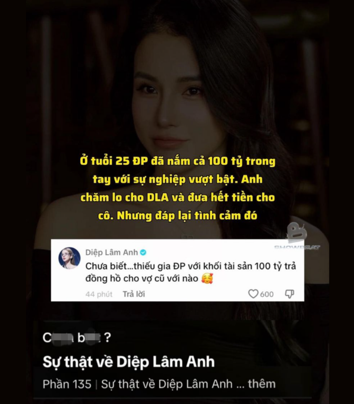 Bị 1 kênh Tiktok 'bóc phốt' được thiếu gia 100 tỷ lo cho hết, Diệp Lâm Anh đáp trả sâu cay Ảnh 3