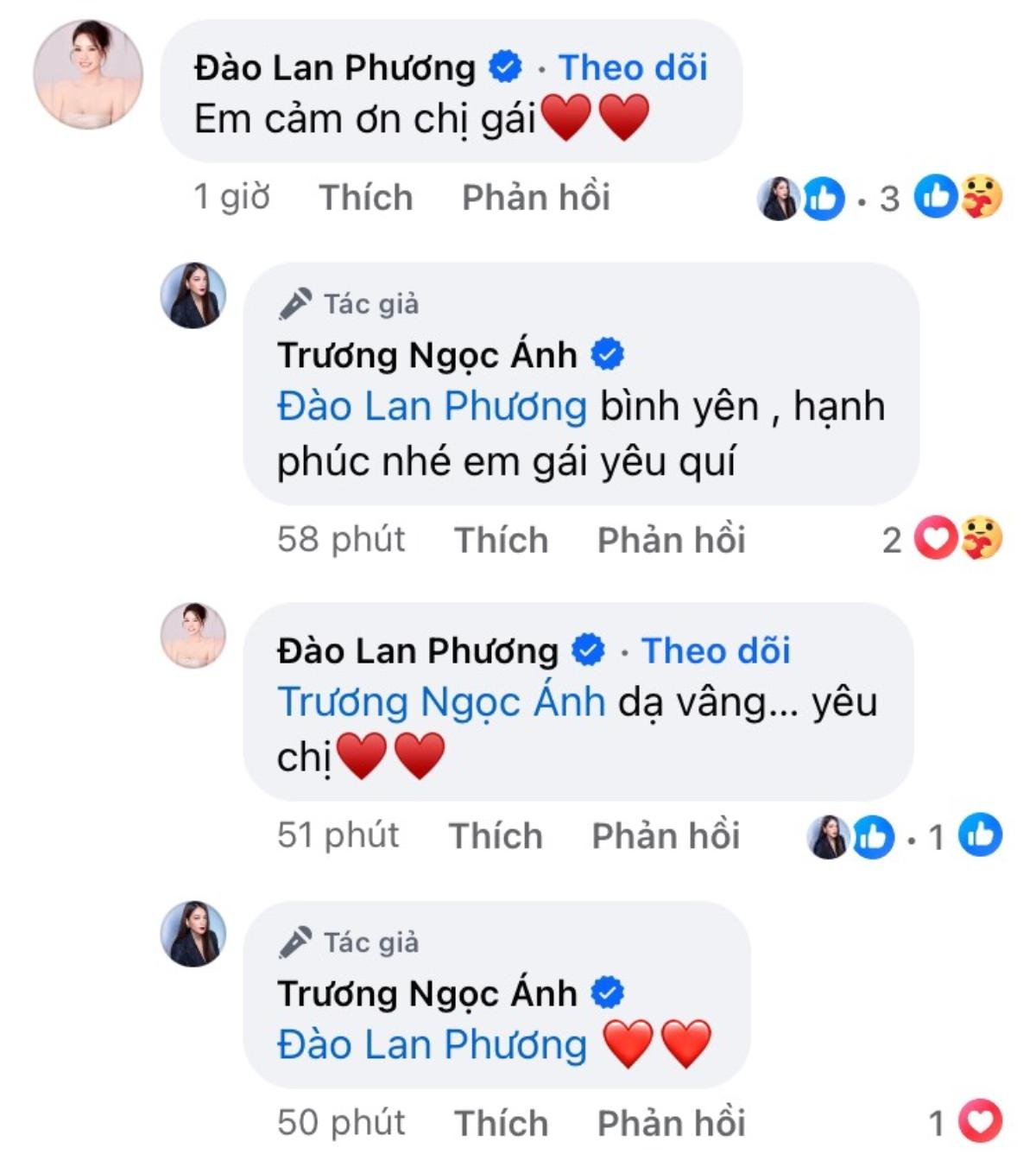 Trương Ngọc Ánh và bạn trai kém 14 tuổi liên quan gì đến dòng trạng thái của con dâu Hoàng Kiều? Ảnh 2