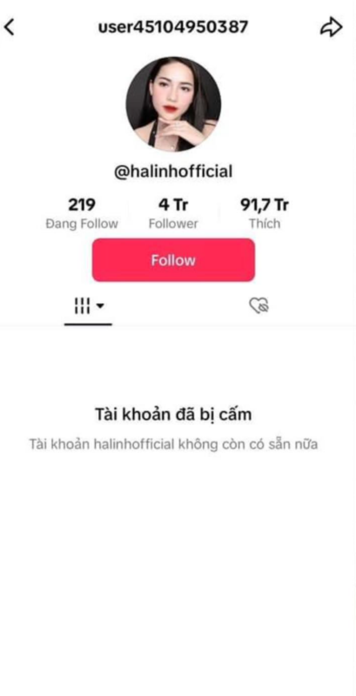 Chiến thần Võ Hà Linh chính thức 'bay màu' kênh Tiktok 4 triệu followers Ảnh 1