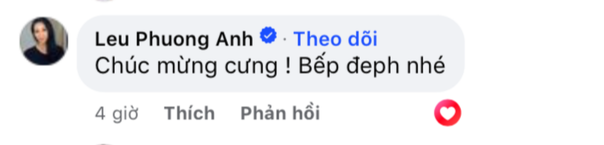 Vợ kém tuổi của Công Lý báo 'tin vui', Vân Dung và nhiều nghệ sĩ gửi lời chúc mừng Ảnh 3