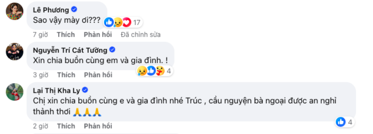 Diễn viên Thanh Trúc thông báo tang sự, dàn sao Việt gửi lời chia buồn Ảnh 5