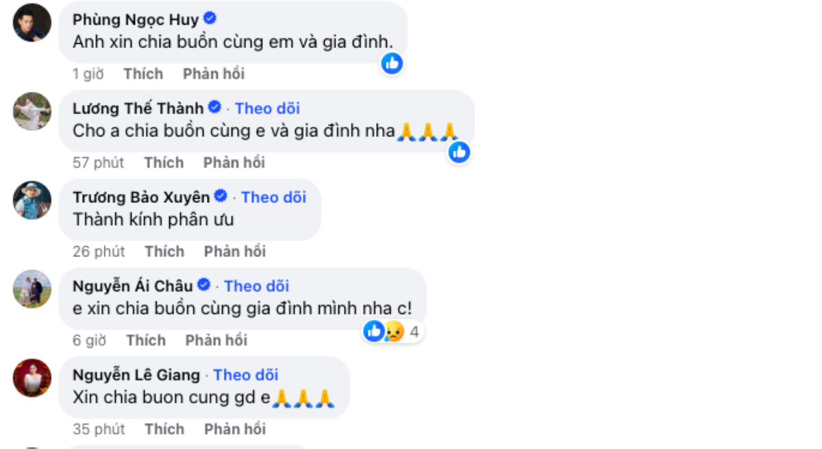 Diễn viên Thanh Trúc thông báo tang sự, dàn sao Việt gửi lời chia buồn Ảnh 4