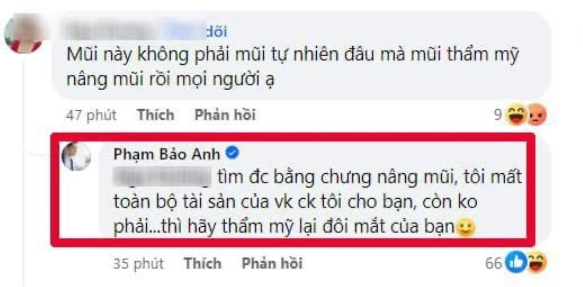 Bảo Anh tuyên bố sẽ mất toàn bộ tài sản nếu tìm thấy bằng chứng này Ảnh 2