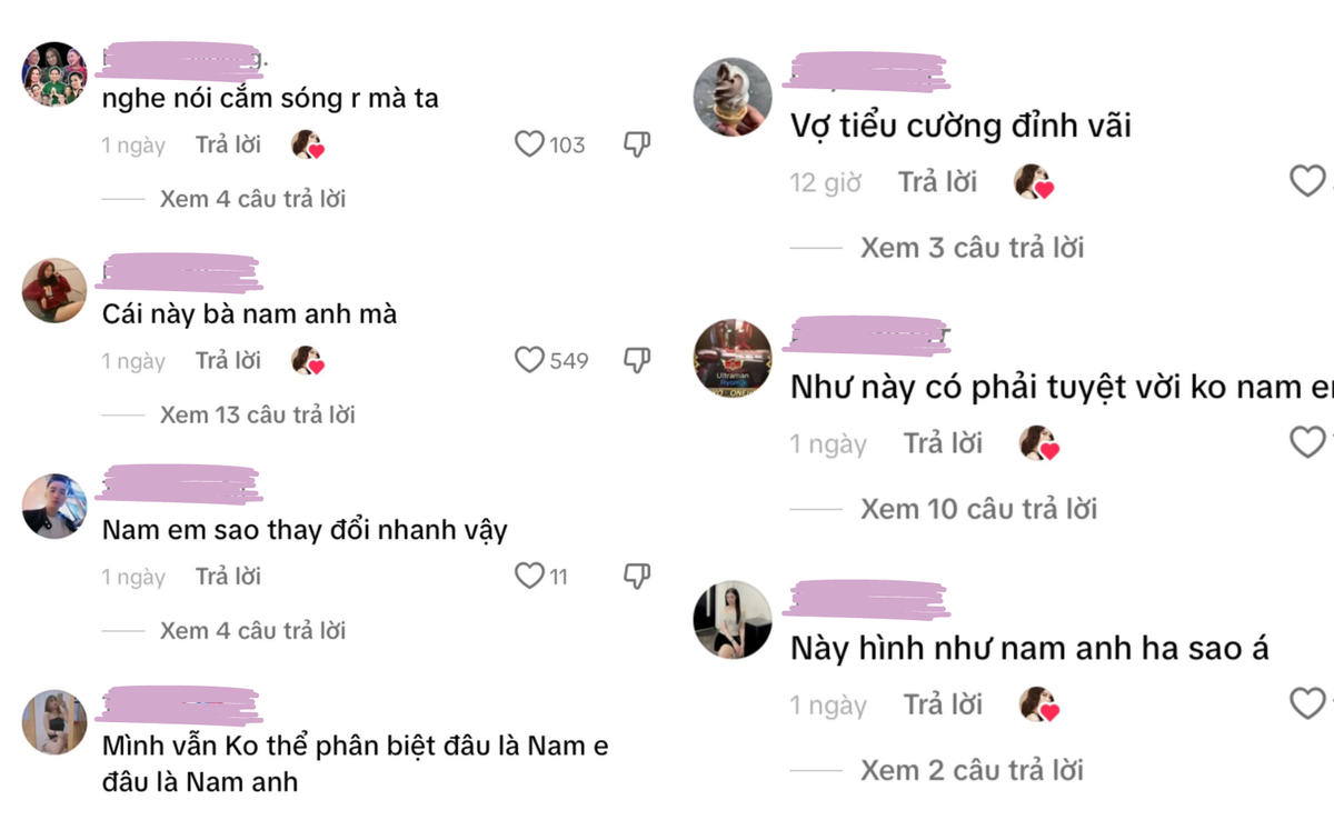 Lệ Nam có động thái chú ý khi khán giả gọi tên Nam Em Ảnh 1