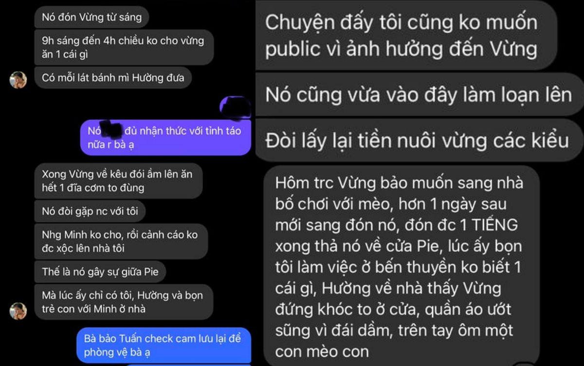 Nam ca sĩ nổi tiếng showbiz Việt bị tố ngoại tình, bỏ bê con cái và quấy rối vợ cũ Ảnh 2