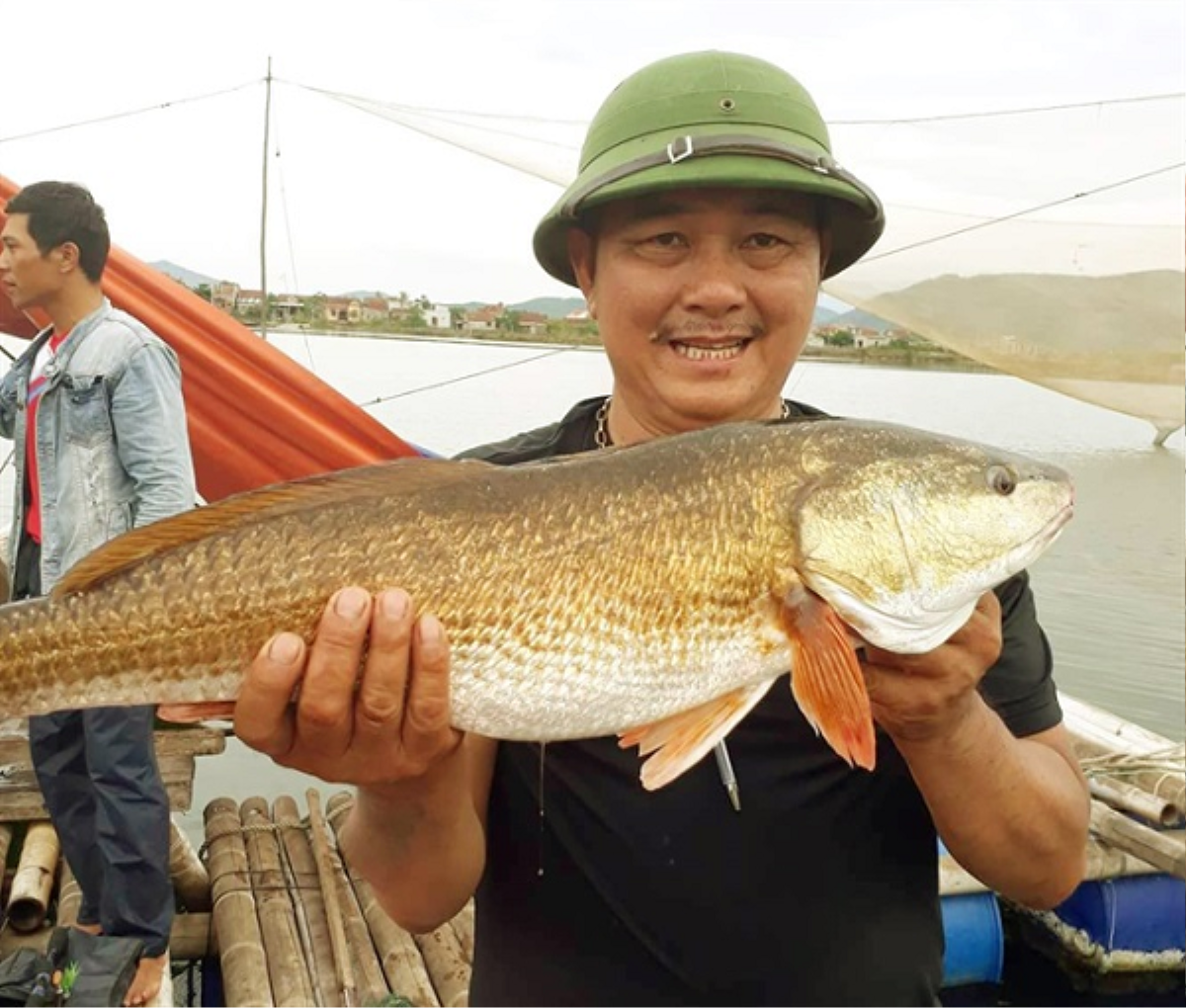 Loài cá này ở Việt Nam sở hữu một bộ phận quý hiếm được săn lùng với giá hơn 1 tỷ đồng Ảnh 4