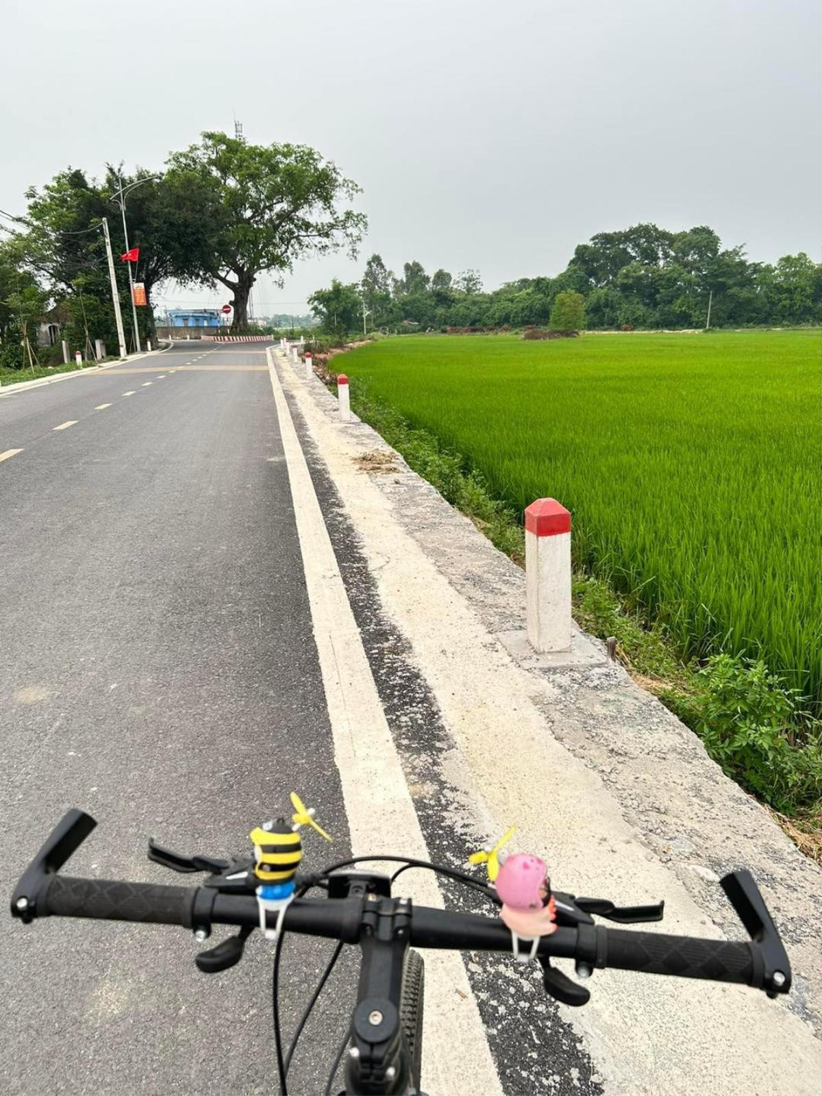 Về quê, thanh niên đạp xe ra đồng 'chữa lành' và cái kết Ảnh 1