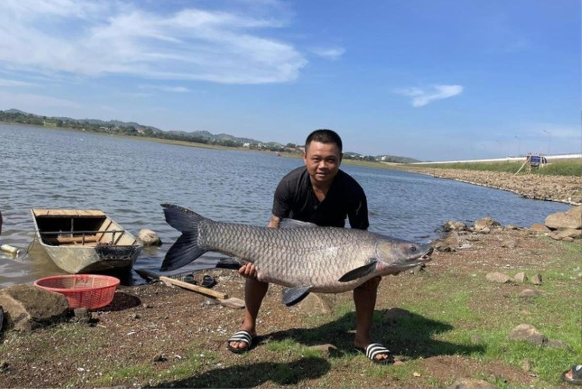 Cần thủ phấn khích câu được cá 'khủng' hơn 36kg tại hồ đẹp nhất Buôn Ma Thuột Ảnh 1