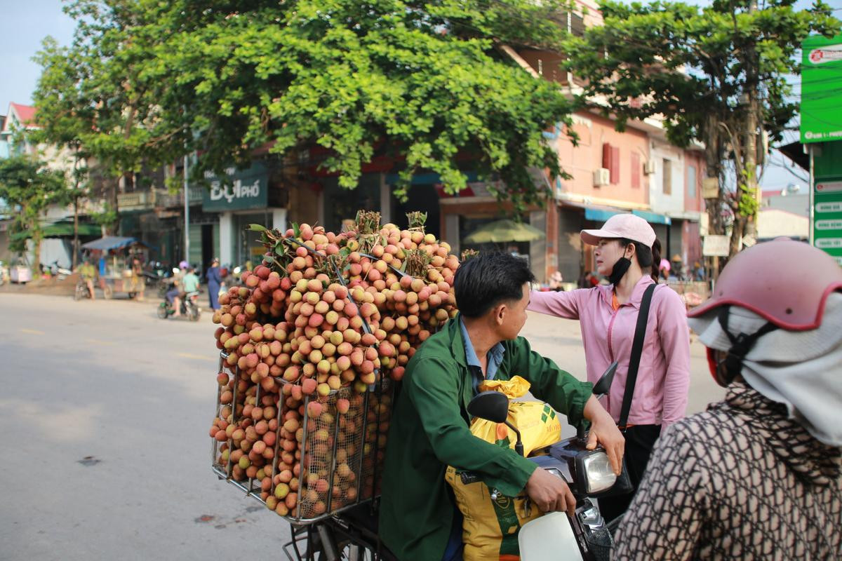 Chùm ảnh: Người dân Bắc Giang tất bật đi bán vải lúc sáng sớm Ảnh 1