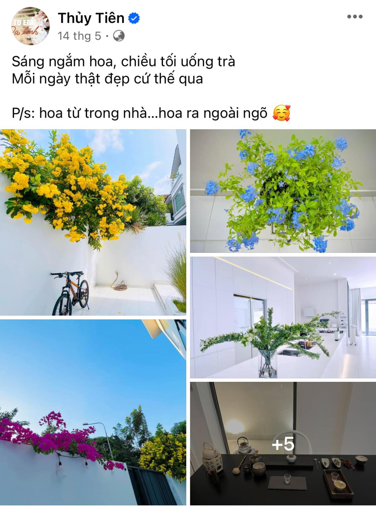 Năm 'tam tai' của Thuỷ Tiên Ảnh 1