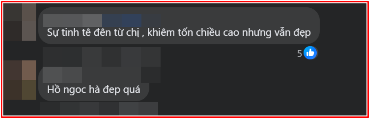 Đi du lịch cùng gia đình, Hồ Ngọc Hà có hành động tinh tế khi chụp ảnh với khán giả Ảnh 3