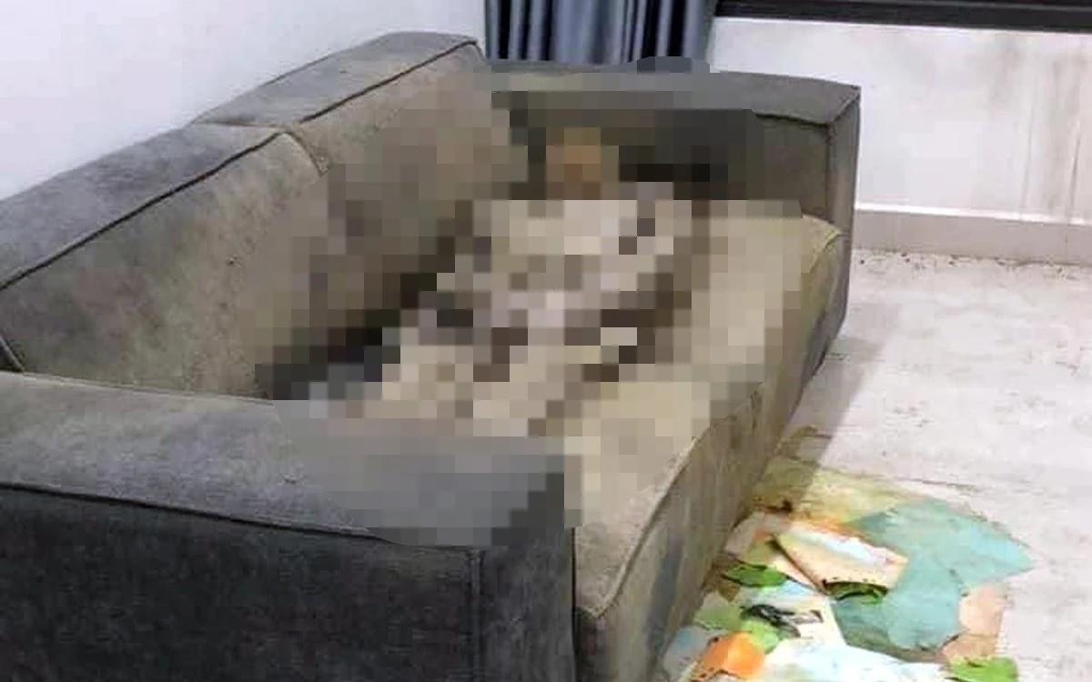 Từ vụ cô gái chết khô trên sofa: Chúng ta đang cô đơn trong một xã hội đầy kết nối Ảnh 1