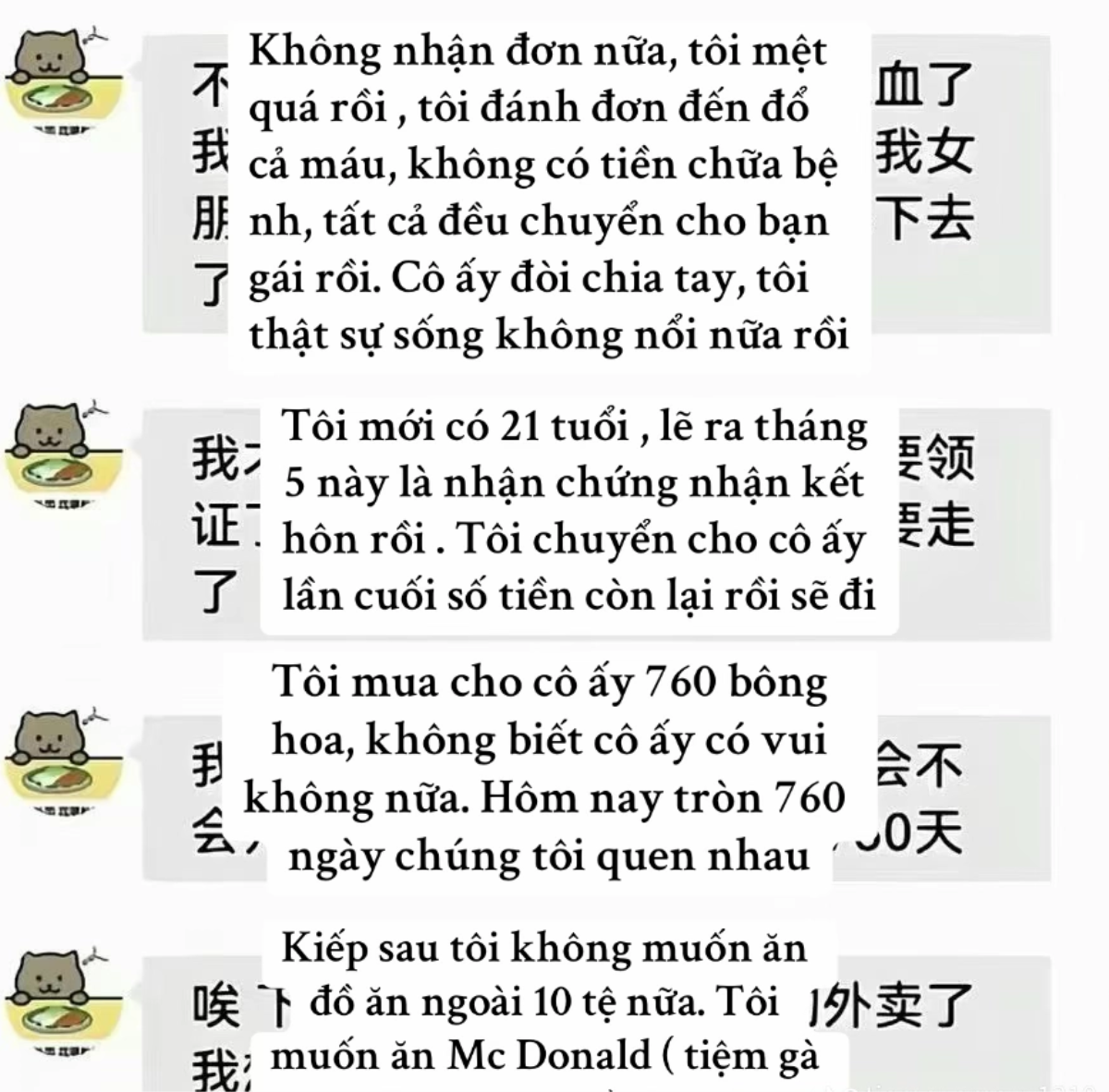 Mèo Béo ước mơ ăn Mc Donald: Chàng trai làm cả thế giới cảm động nhưng không cảm động nổi người mình yêu Ảnh 2