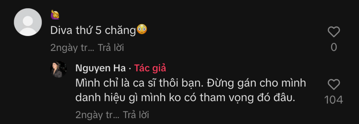 Nguyên Hà không thoải mái với biệt danh 'bông hoa nở muộn', nói gì khi được gọi là Diva thứ 5? Ảnh 1