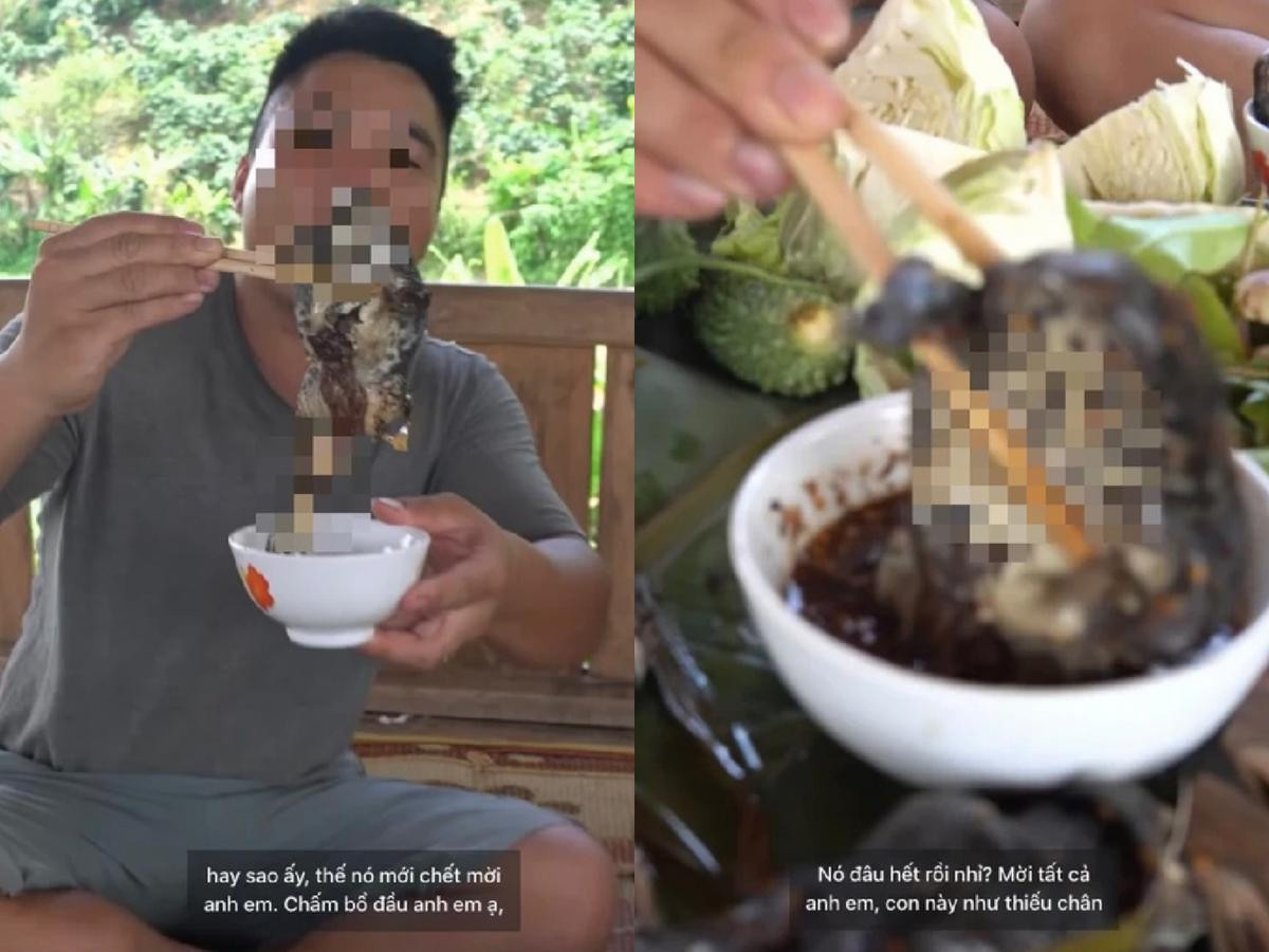 Mukbang ếch hấp nguyên con không bỏ ruột, thanh niên khiến dân mạng ngán ngẩm Ảnh 1