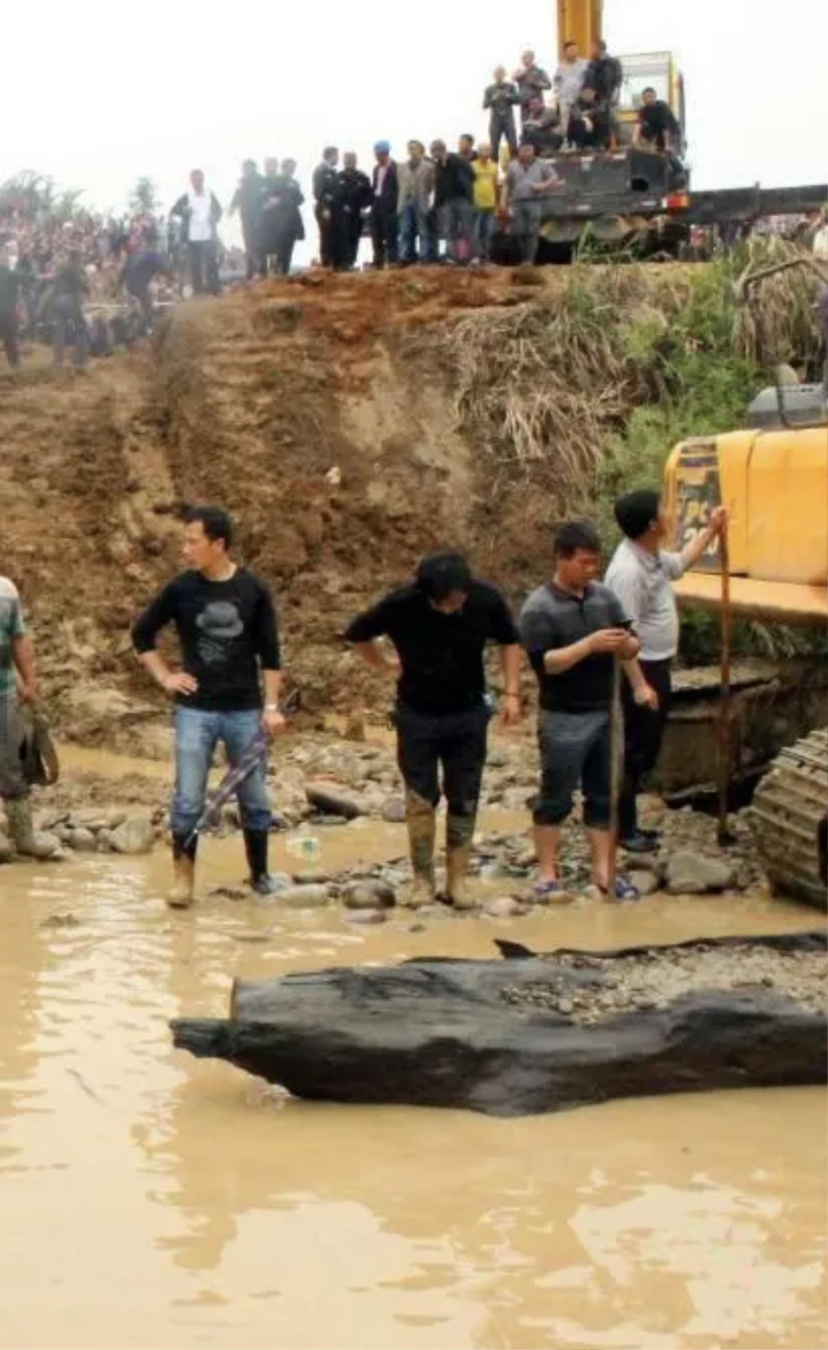 Vớt được khúc gỗ bị lũ cuốn trôi, lão nông sốt vó khi biết giá trị hơn 300 tỷ đồng Ảnh 3