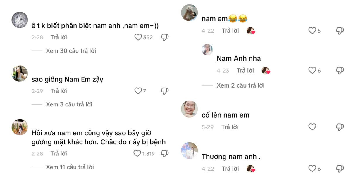 Lệ Nam thay đổi diện mạo để khác Nam Em? Ảnh 1