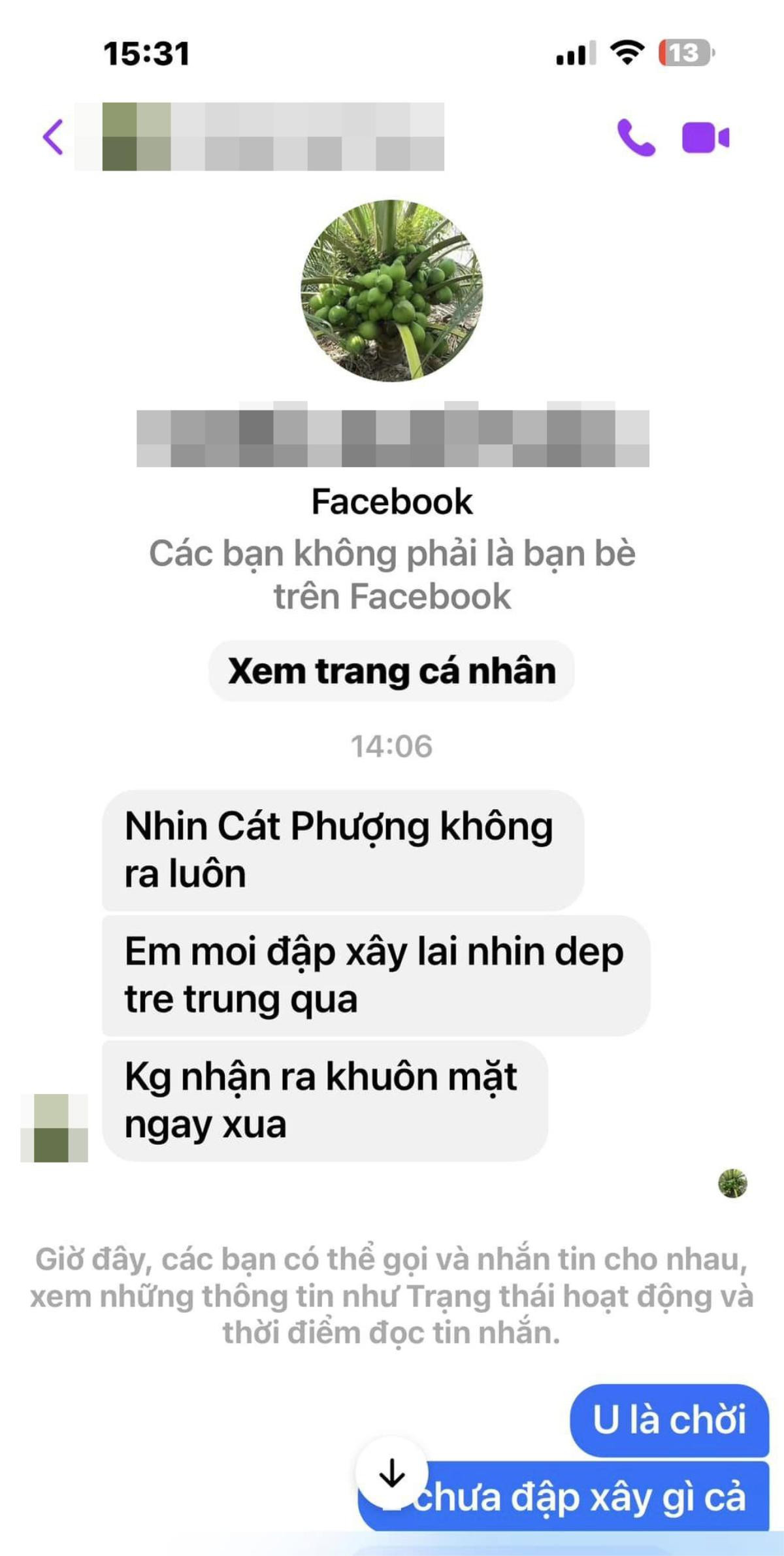 Cát Phượng nói gì khi bị nhận xét 'đập mặt xây lại'? Ảnh 1