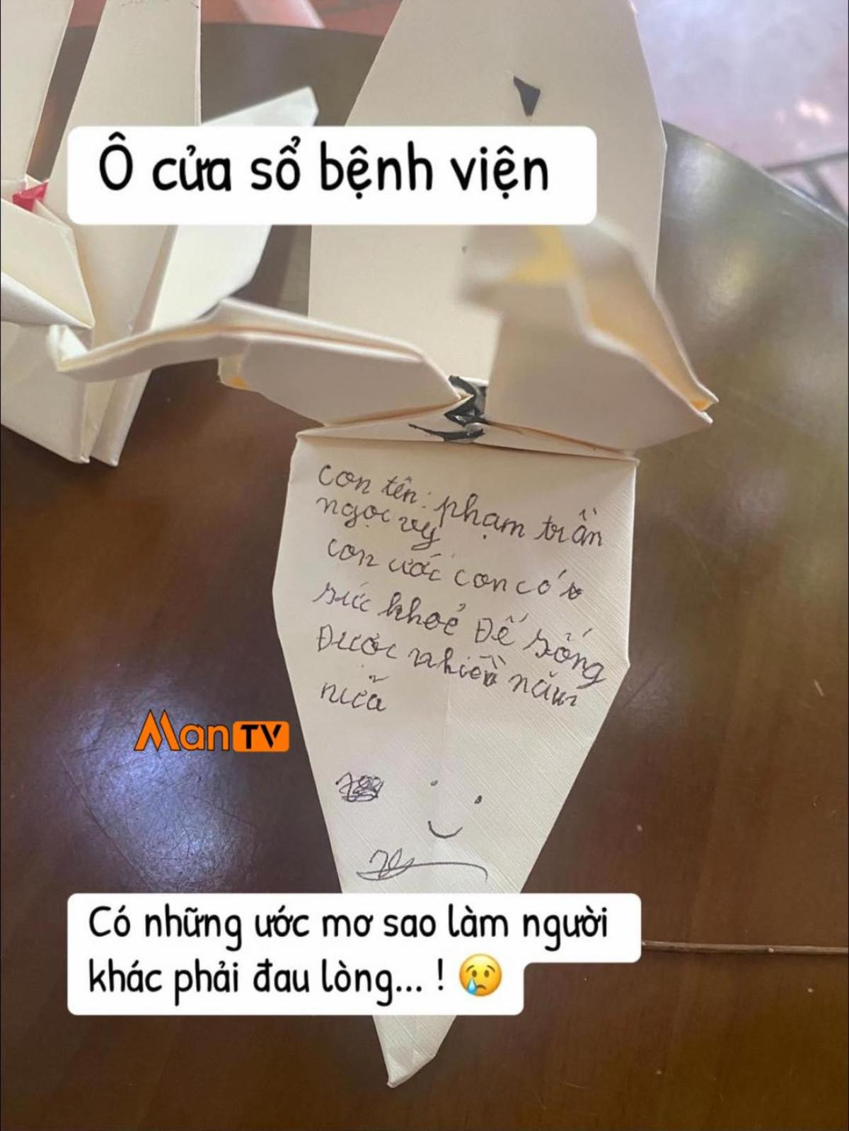 Dòng chữ ngắn của bé gái để lại trong cánh hạc giấy khiến nhiều người rưng rưng Ảnh 1