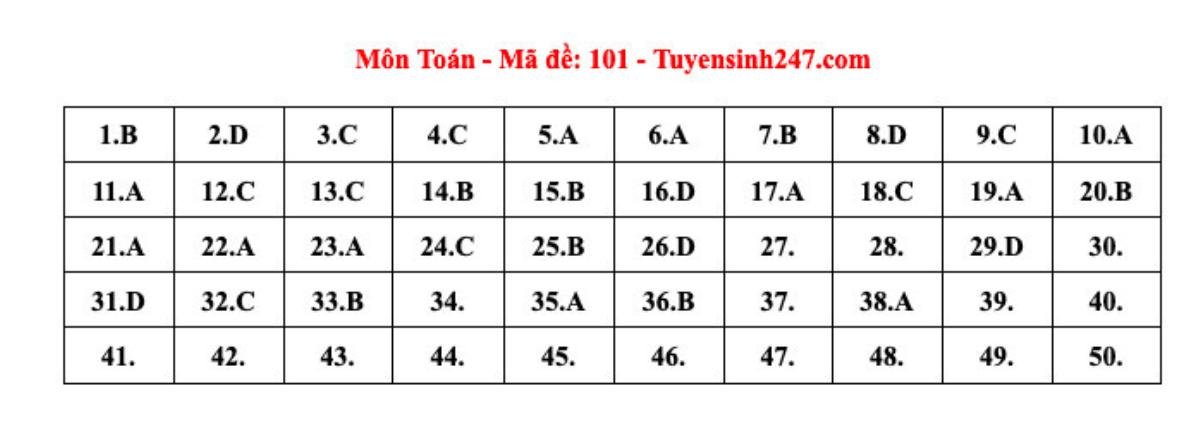 Đáp án tham khảo môn Toán thi tốt nghiệp THPT năm 2024 Ảnh 7