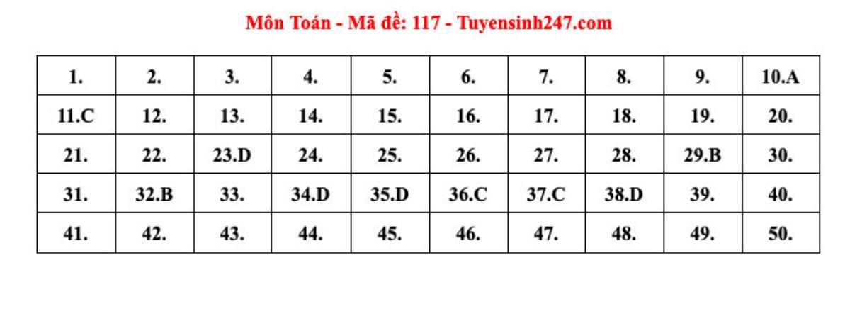 Đáp án tham khảo môn Toán thi tốt nghiệp THPT năm 2024 Ảnh 3