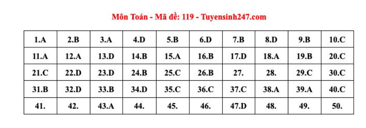 Đáp án tham khảo môn Toán thi tốt nghiệp THPT năm 2024 Ảnh 2