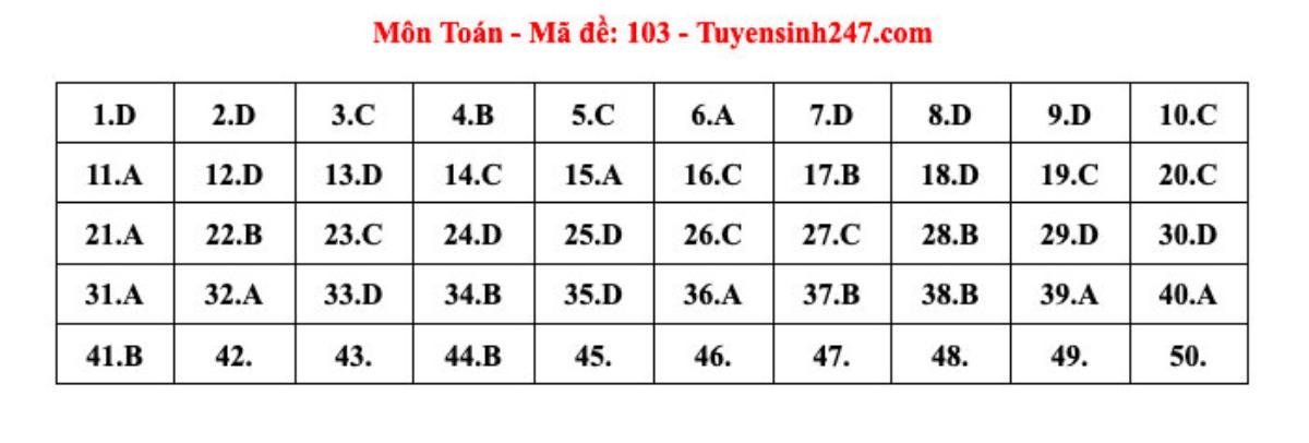 Đáp án tham khảo môn Toán thi tốt nghiệp THPT năm 2024 Ảnh 6