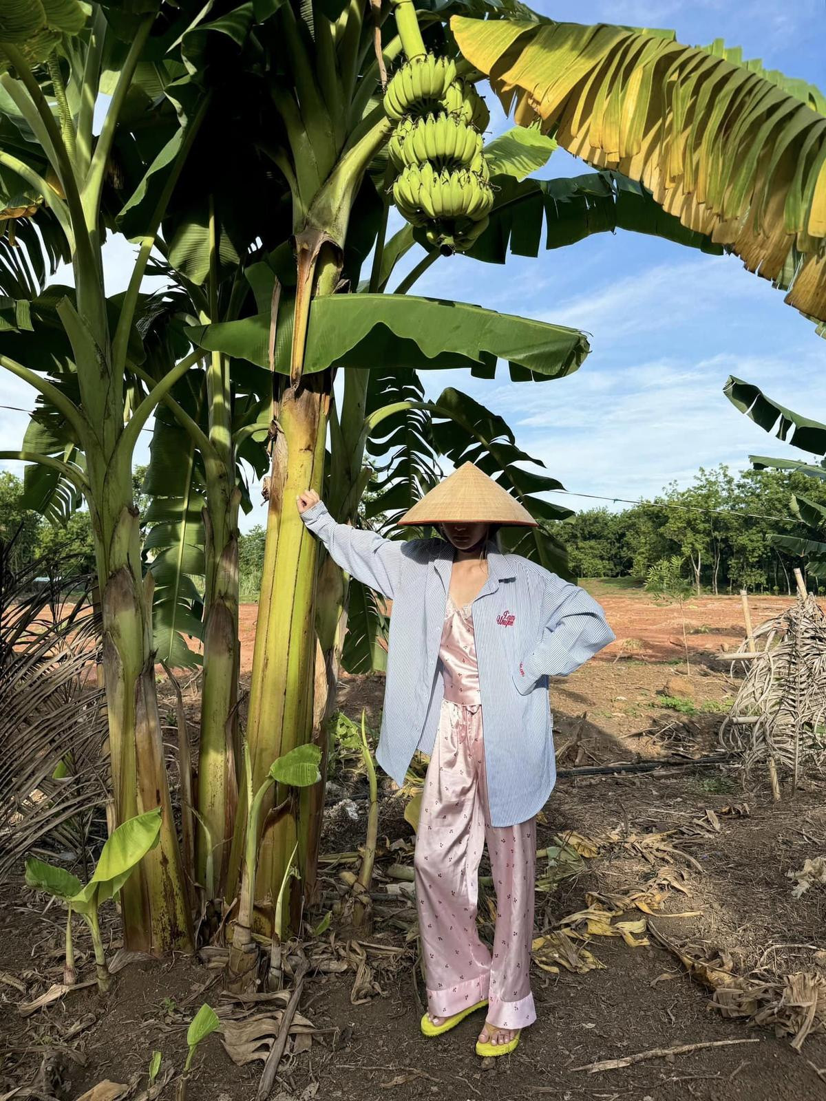 Hậu ly hôn, Xoài Non về quê làm rẫy khoe vẻ đẹp cực phẩm Ảnh 3