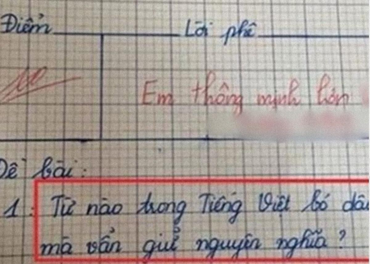 Từ nào trong tiếng Việt bỏ dấu vẫn giữ nguyên nghĩa và câu trả lời đạt điểm 10 của cậu bé lớp 4 Ảnh 1