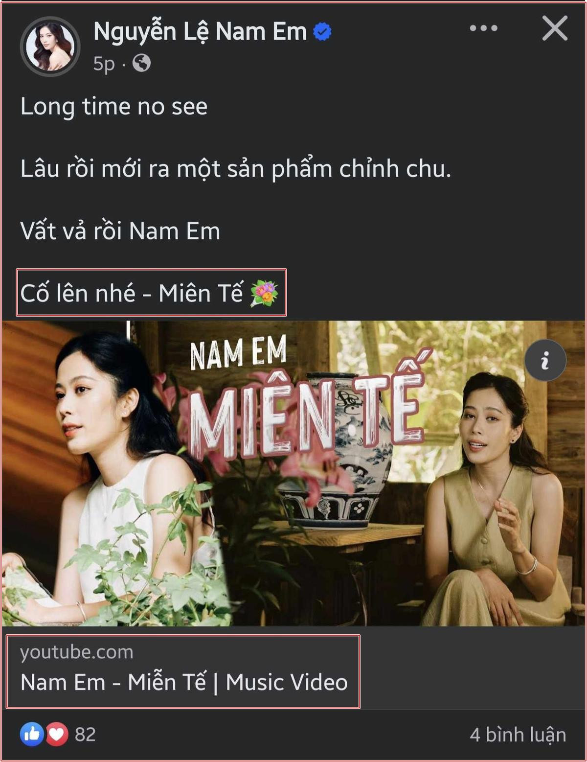 Nam Em gặp sự cố Ảnh 1