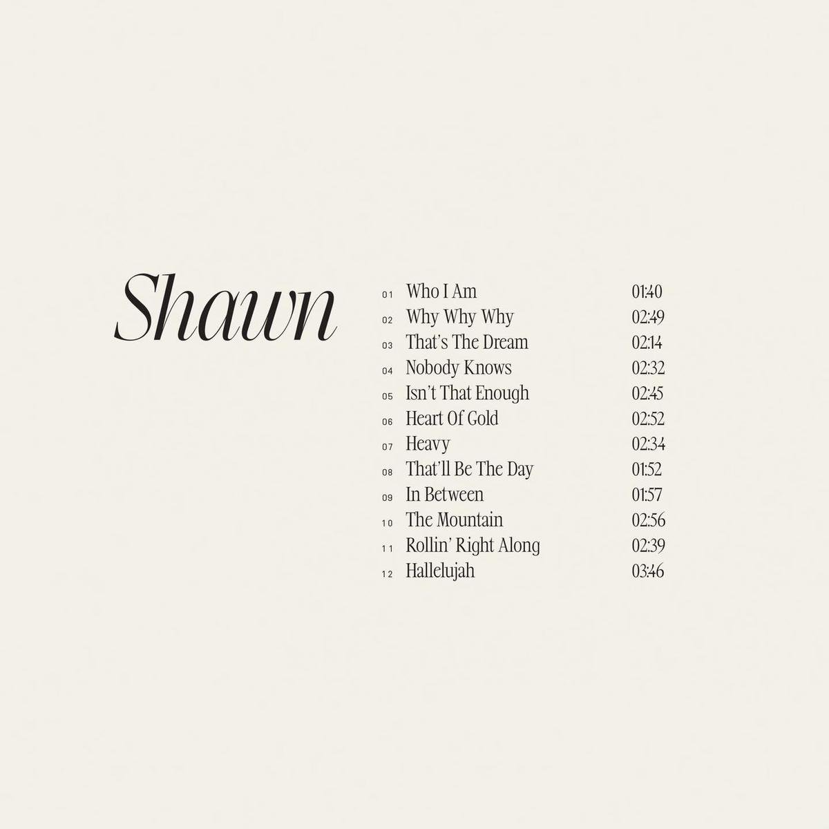 Shawn Mendes tung album mới sau 4 năm, người hâm mộ hụt hẫng? Ảnh 2