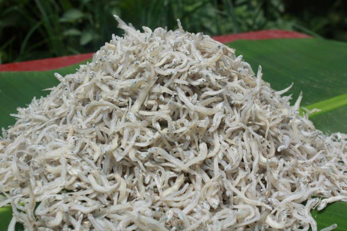 Loại cá bé tí ti xưa đầy không ai ăn, giờ thành đặc sản hiếm, 500.000 đồng/kg Ảnh 1