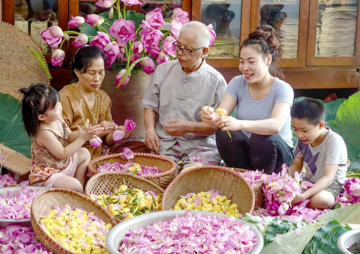 Nghề ướp trà sen Tây Hồ được công nhận di sản văn hóa phi vật thể quốc gia Ảnh 3