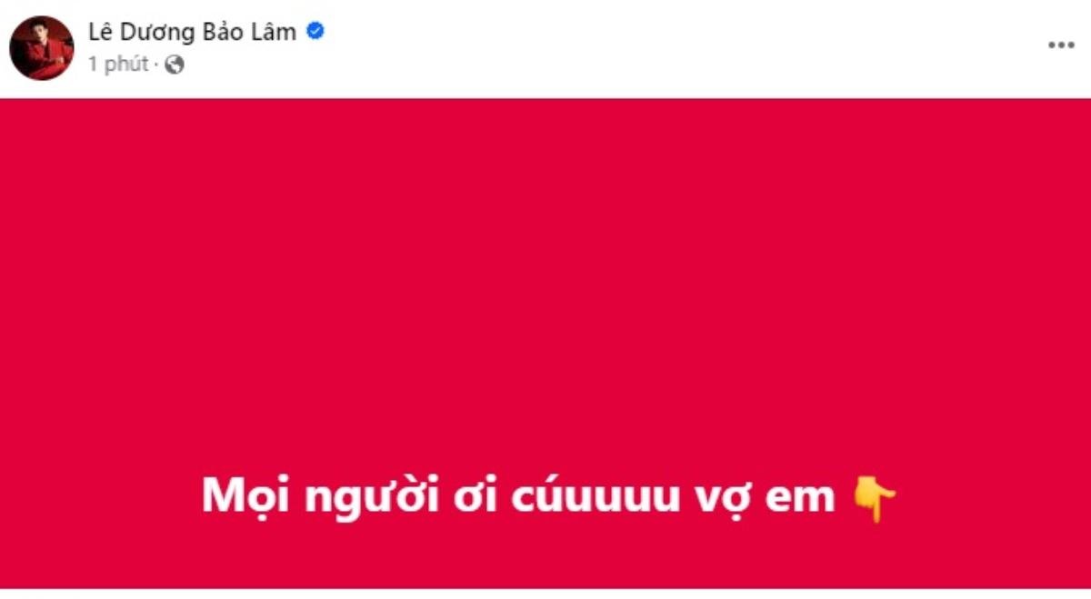 Nam diễn viên Việt vừa lên tiếng kêu cứu thay vợ, chuyện gì đây? Ảnh 1