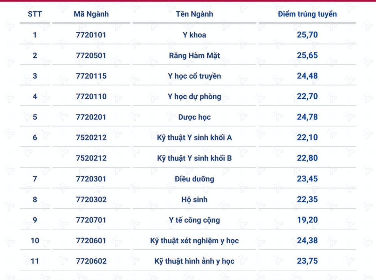 Điểm chuẩn năm 2024 của các trường Đại học Y Dược trên cả nước Ảnh 2