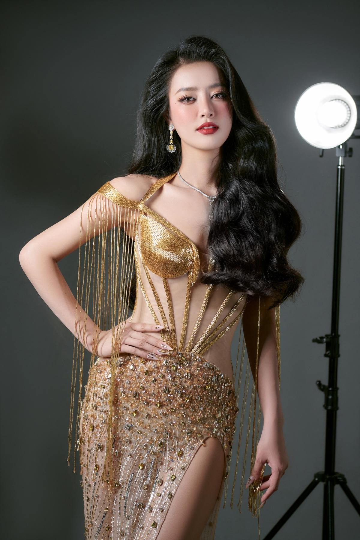 Bùi Khánh Linh đại diện Việt Nam thi Miss Intercontinental 2024 Ảnh 1