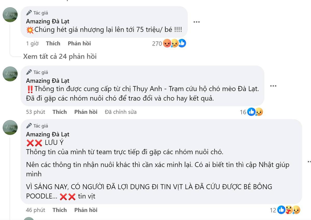 Phẫn nộ việc chủ hai chú chó bị đánh đập ở Đà Lạt ra giá 75 triệu đồng/bé cho ai muốn chuộc Ảnh 1