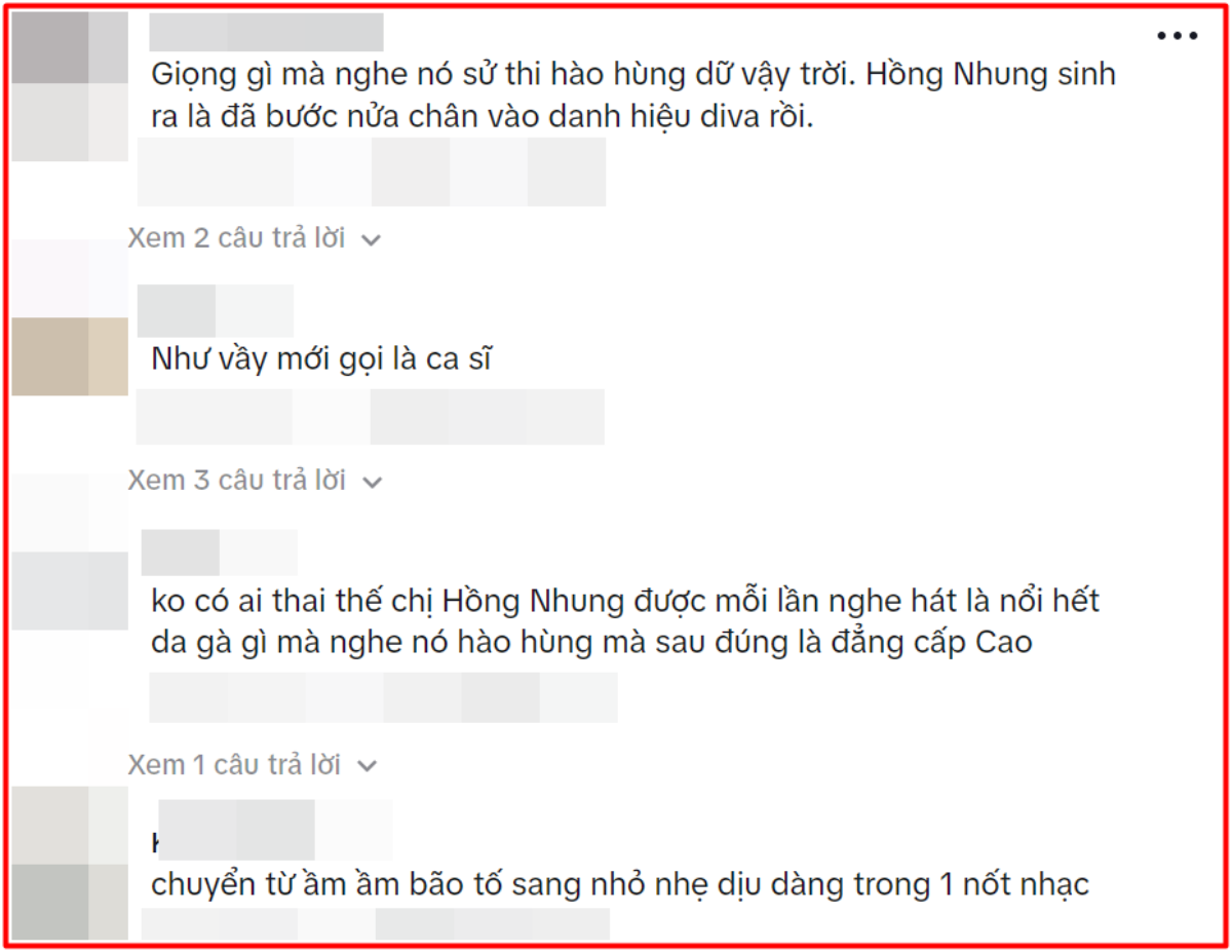 'Danh hiệu Diva sinh ra là dành cho Hồng Nhung' Ảnh 3