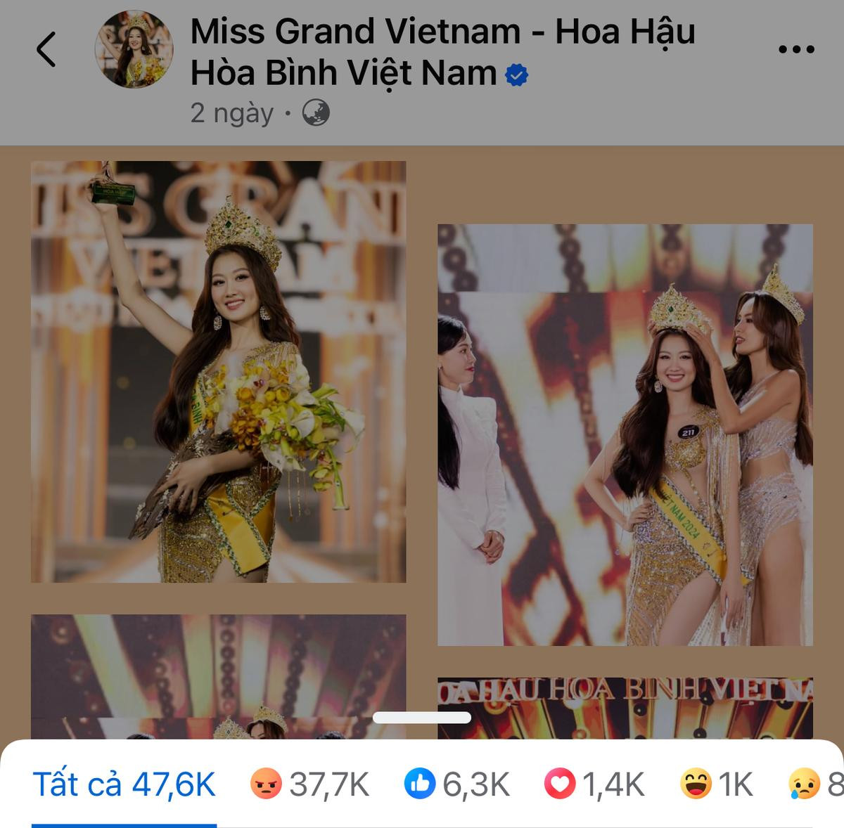 Sen Vàng mất uy tín nghiêm trọng sau Miss Grand Vietnam 2024? Ảnh 2