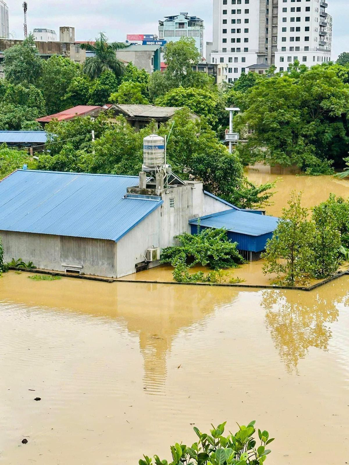 Nhiều sao Việt đi cứu trợ người dân vùng lũ lụt Ảnh 4