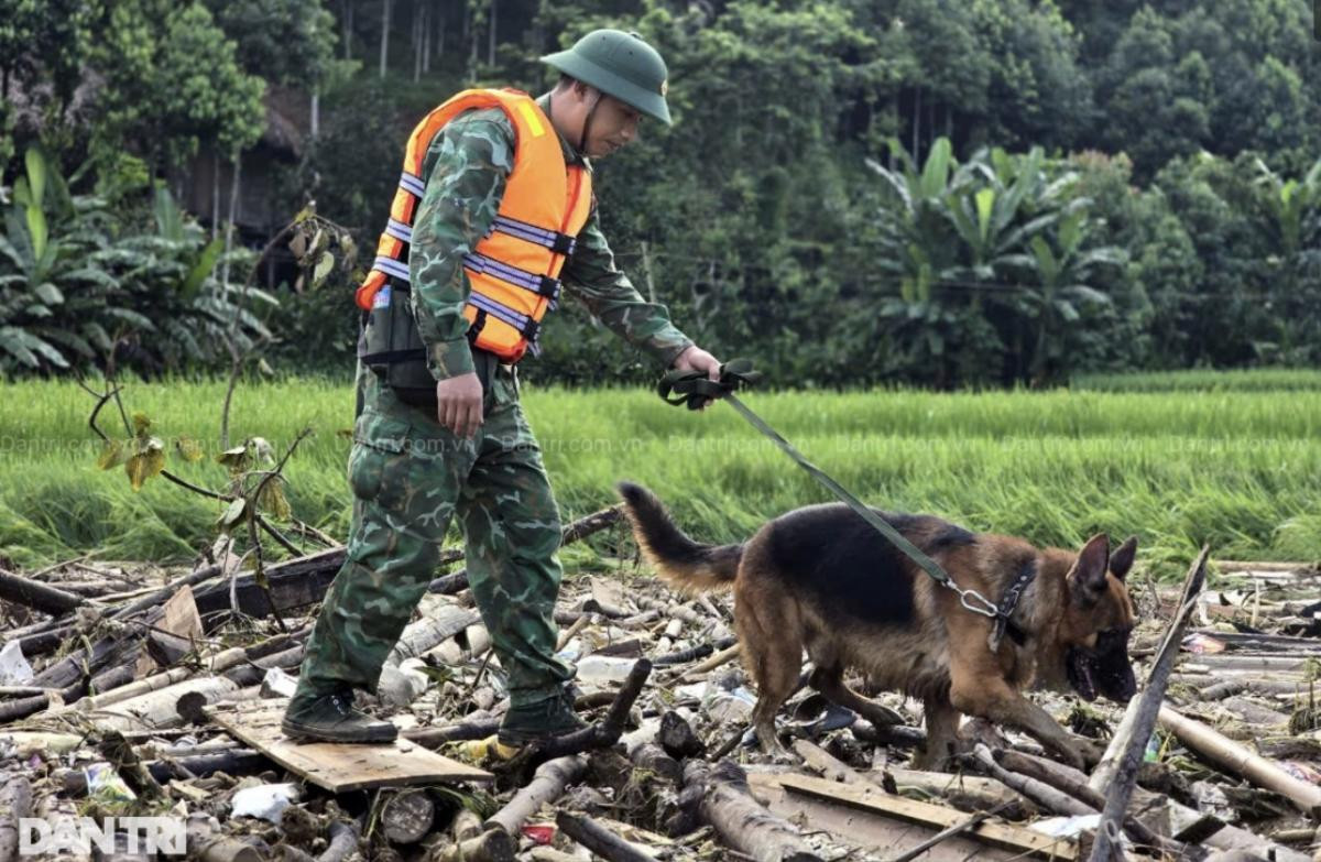 Diễn biến mới nhất vụ lũ quét vùi lấp 128 người ở thôn Làng Nủ, chó nghiệp vụ đưa vào tìm kiếm Ảnh 2