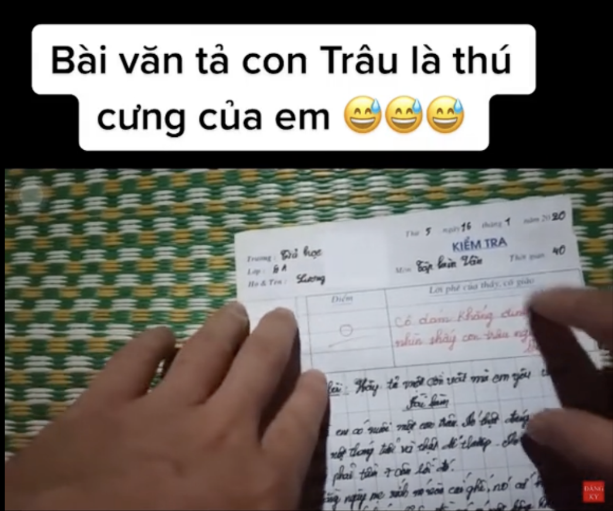 Bài văn tả con trâu bị 0 điểm, cô giáo nói một câu tỏ rõ sự bất lực Ảnh 2