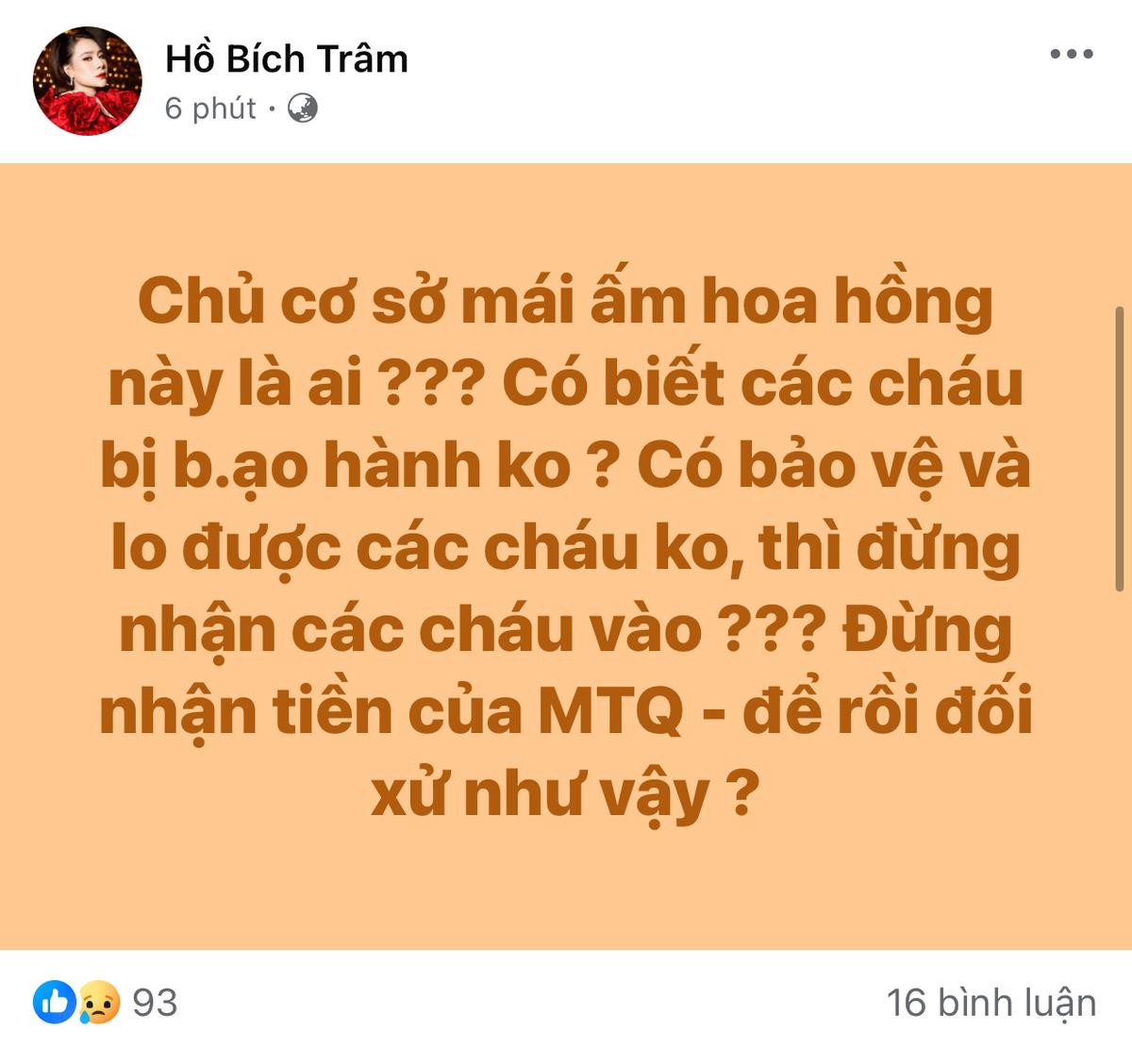 Thuý Diễm bức xúc trước vụ bạo hành trẻ sơ sinh tại mái ấm Hoa Hồng Ảnh 3