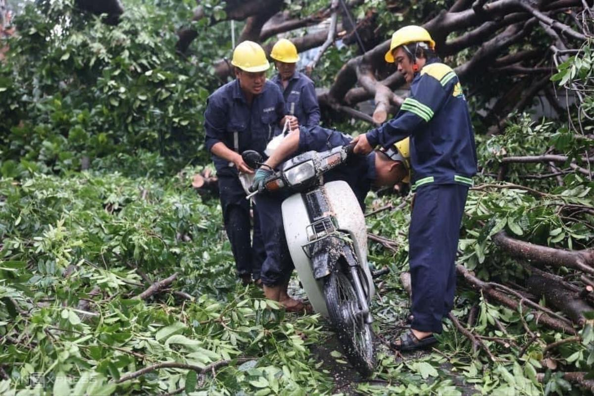 TP.HCM sau cơn mưa lớn: Cây đổ la liệt, ô tô và xe máy bị đè bẹp Ảnh 6