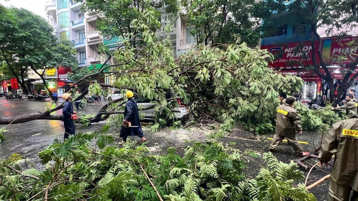 TP.HCM sau cơn mưa lớn: Cây đổ la liệt, ô tô và xe máy bị đè bẹp Ảnh 1