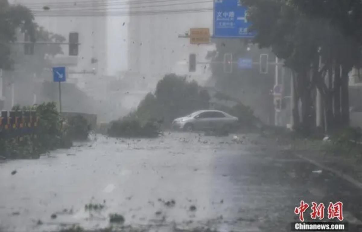 Siêu bão Yagi càn quét dữ dội: Ô tô bị cuốn bay, nhà cửa tan hoang, cây cối đổ ngã la liệt Ảnh 3